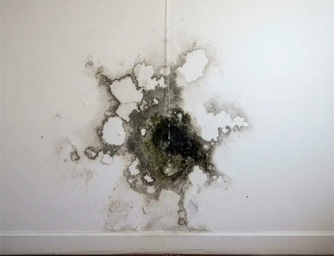 Dettaglio di un'infiltrazione d'acqua sul soffitto e nei muri con evidenti aloni giallastri e distacco dell'intonaco prima dell'intervento di localizzazione.