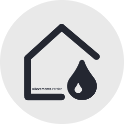 Logo Rilevamento Perdite