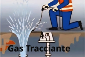 Termografia ricerca Perdite Acqua Non Invasiva a Ferrara