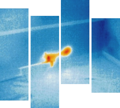 Termografia ricerca Perdite Acqua Non Invasiva a Ravenna 